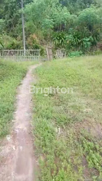 image TANAH KEBUN DURIAN MURAH MERIAH BOGOR (5)