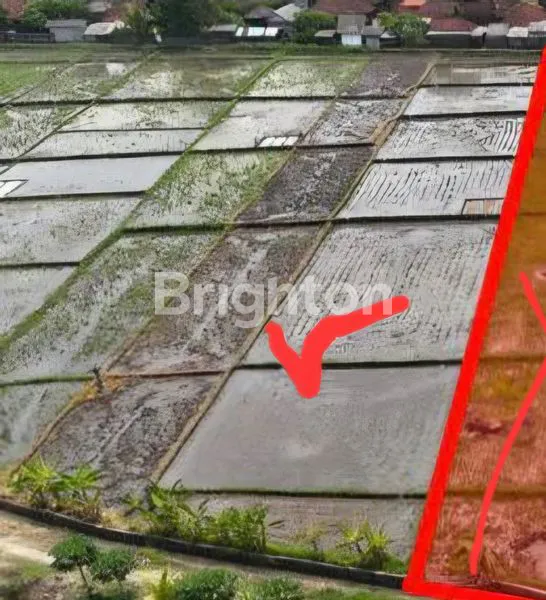 image TANAH DATAR SIAP BANGUN ZONA PARIWISATA DEKAT PANTAI KELATING TABANAN (2)