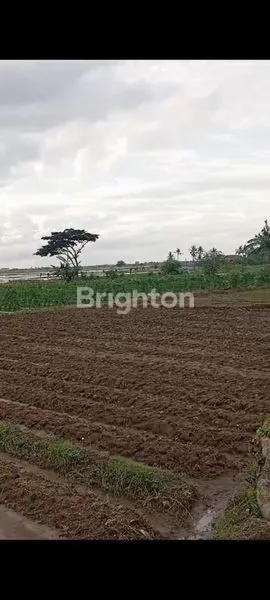 image LAHAN COCOK UNTUK PERUMAHAN BABELAN BEKASI (3)