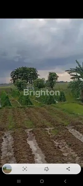image LAHAN COCOK UNTUK PERUMAHAN BABELAN BEKASI (4)