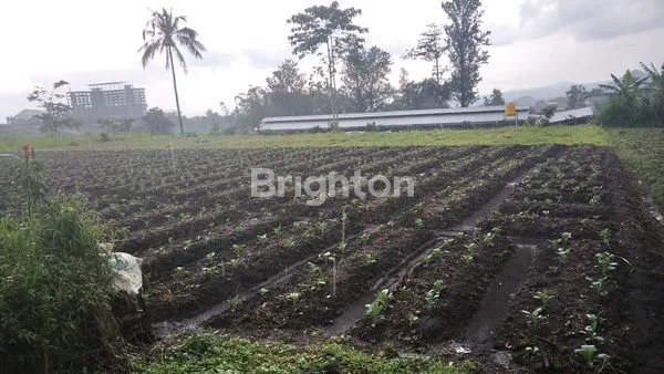 image TANAH PREMIUM 750 M² VIEW PEGUNUNGAN DEKAT SKY LAND TAWANGARGO MALANG (3)