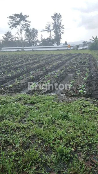 image TANAH PREMIUM 750 M² VIEW PEGUNUNGAN DEKAT SKY LAND TAWANGARGO MALANG (2)