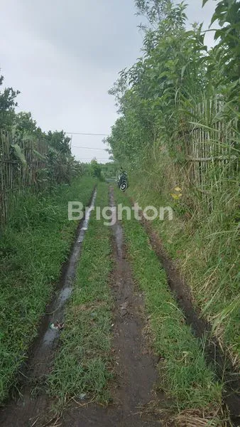 image TANAH PREMIUN 1700 M2 DEKAT SKY LAND COCOK UNTUK VILLA, HOME STAY DAN RUMAH HUNIAN  (6)