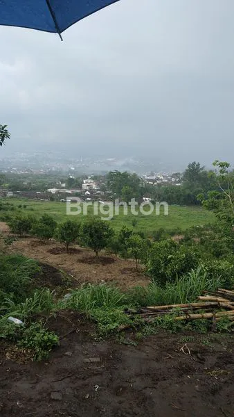 image TANAH PROSPEKTIF LUAS 1.6 HA TAWANGARGO COCOK UNTUK KAVLING DAN PERUMAHAN AKSES RODA 4 (4)