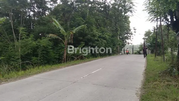 image TANAH 860 M2 DI JERUK SAWIT DEKAT MOJOSONGO (1)