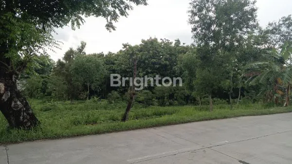 image TANAH 860 M2 DI JERUK SAWIT DEKAT MOJOSONGO (2)