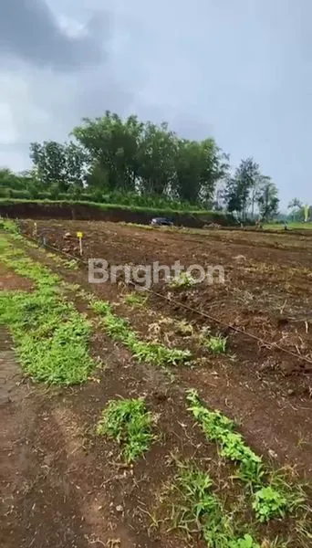 image TANAH KAVLING SIAP BANGUN AREA WISATA BATU MALANG (5)