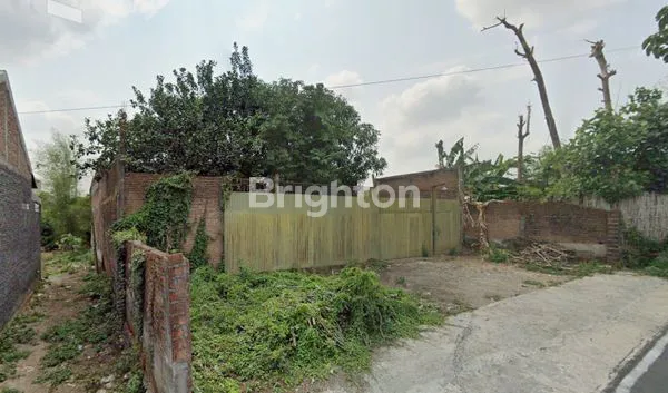 image TANAH ARAH SMA 8 SOLO (3)