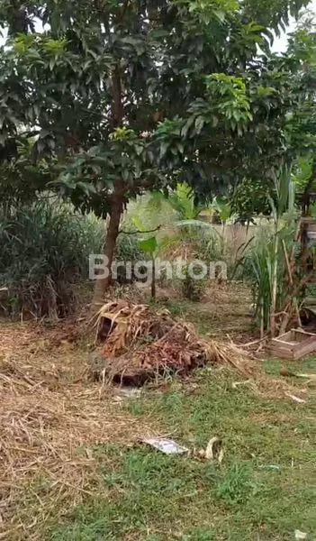 image INVESTASI TANAH PREMIUM DI CIMANGGU BOGOR LOKASI STRATEGIS (5)