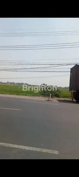 JUAL TANAH INDUSTRI PUNGGING MOJOKERTO