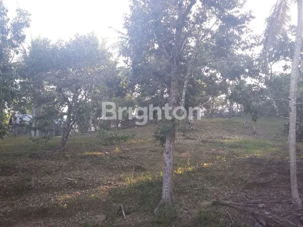 image TANAH LUAS 2.526 M² DI JL. SOEKARNO HATTA (4)