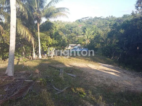 image TANAH LUAS 2.526 M² DI JL. SOEKARNO HATTA (3)