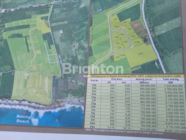 image TERSEDIA TANAH KAVELING ASRI ALAMI MENGHADIRKAN PEMANDANGAM SAWAH DAN LAUT DI PANTAI BELONG TABANAN BALI (7)