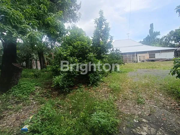 image LANGKA LAHAN PEKARANGAN DI TENGAH KOTA SOLO (4)