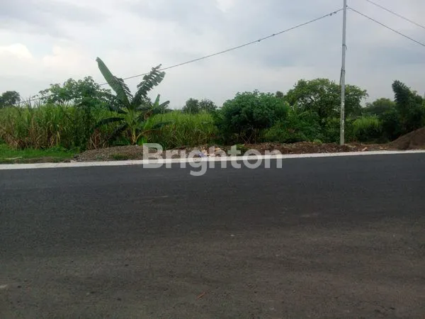 image TANAH NOL JALAN RAYA MANTUP LAMONGAN  (2)