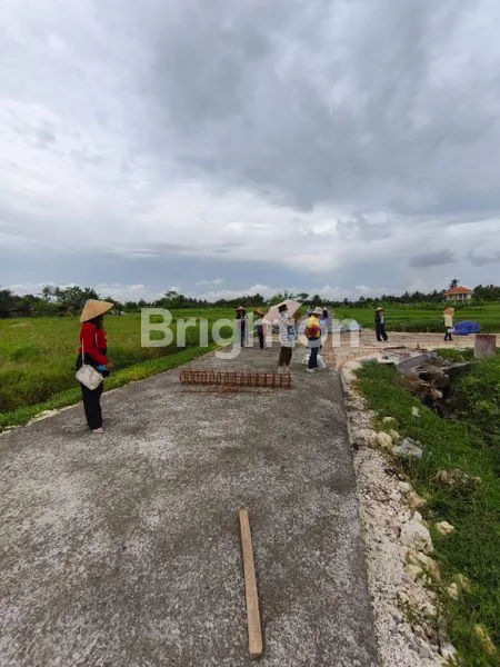 image TANAH EKSKLUSIF 500M² VIEW SAWAH & PANTAI BELONG (3)