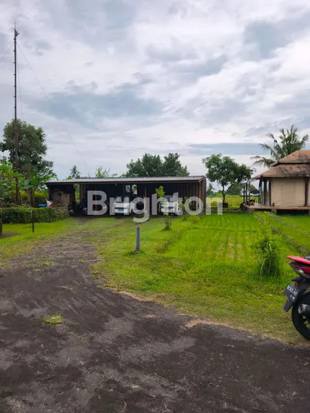 image TANAH EKSKLUSIF 500M² VIEW SAWAH & PANTAI BELONG (6)