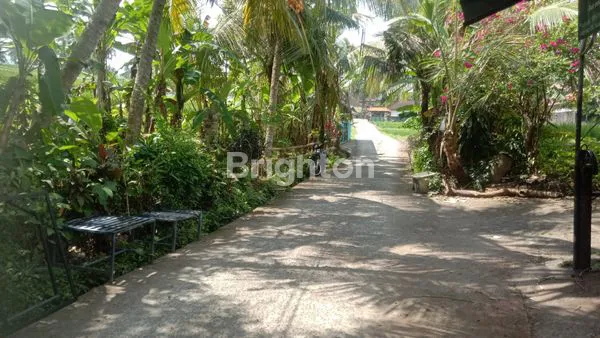 image DISEWAKAN LAHAN UNTUK USAHA (GUDANG, MEBEL, DLL) DI KERAMBITAN - TABANAN, BALI (4)