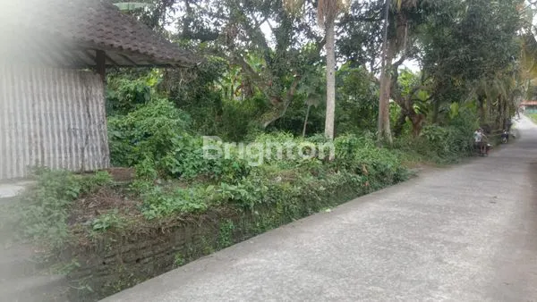 image DISEWAKAN LAHAN UNTUK USAHA (GUDANG, MEBEL, DLL) DI KERAMBITAN - TABANAN, BALI (2)