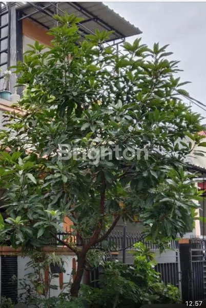 image RUMAH CANTIK  2 LANTAI TERAWAT SIAP HUNI LOKASI STRATEGIS DI KOMP CHANDRA BEKASI (7)