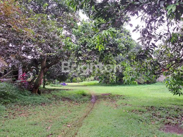 image DIJUAL KAPLING TANAH  DIJALAN UTAMA CIBUBUR  (2)