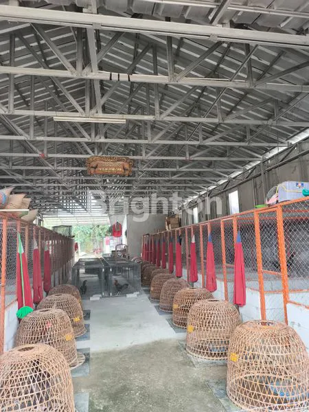 image RUMAH MEWAH 3 LANTAI LT 3104M² DI PANONGAN CITRA RAYA CIKUPA TANGERANG (5)