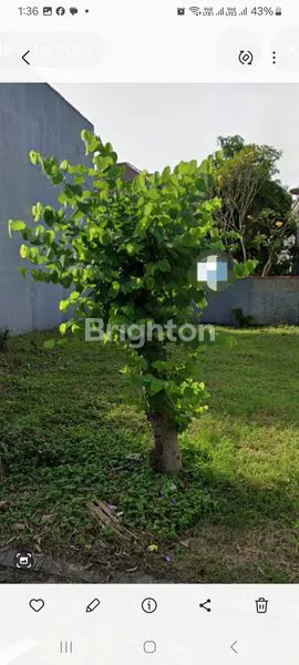 Gambar Property TANAH KAVLING CITRA HARMONI