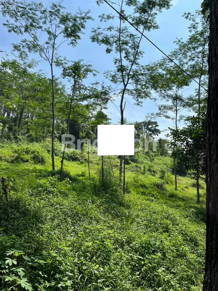 DIJUAL TANAH SHM COCOK UNTUK INVESTASI DI JL. PRAMUKA