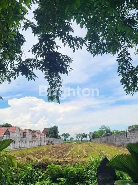 image DI JUAL SEBIDANG TANAH STRATEGIS JALAN KELURAHAN TRIWUNG KIDUL , KECAMATAN KADEMANGAN KOTA PROBOLINGGO (2)