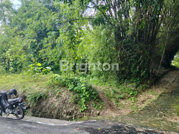 image LAHAN LUAS 1350M² DI DS. PLESUNGAN, KARANGANYAR (4)