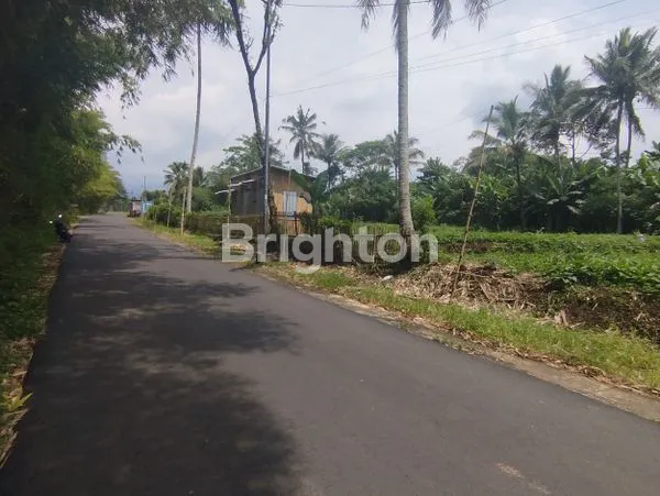 image TANAH STRATEGIS JABUNG DESA SIDOREJO (3)