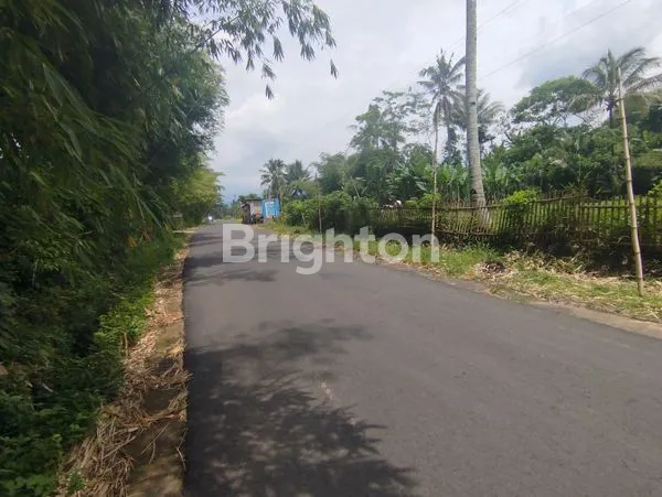 image TANAH STRATEGIS JABUNG DESA SIDOREJO (1)