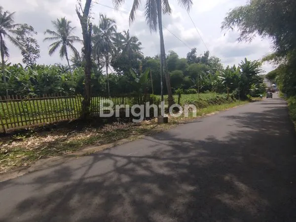 image TANAH STRATEGIS JABUNG DESA SIDOREJO (2)