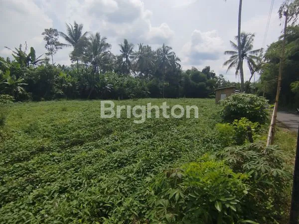 image TANAH STRATEGIS JABUNG DESA SIDOREJO (4)