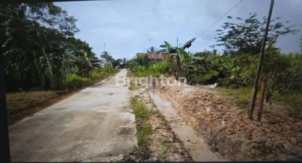 image INVESTASI TANAH KUTAI: KEBUN, SAWAH, VILLA MEWAH  (6)