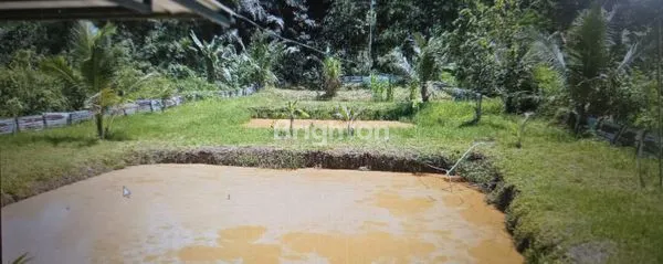 image INVESTASI TANAH KUTAI: KEBUN, SAWAH, VILLA MEWAH  (2)
