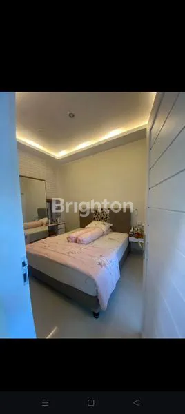 image THE ONE AND ONLY (2)