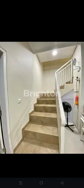 image THE ONE AND ONLY (4)