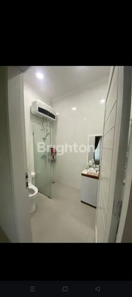 image THE ONE AND ONLY (5)