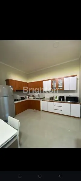 image THE ONE AND ONLY (7)