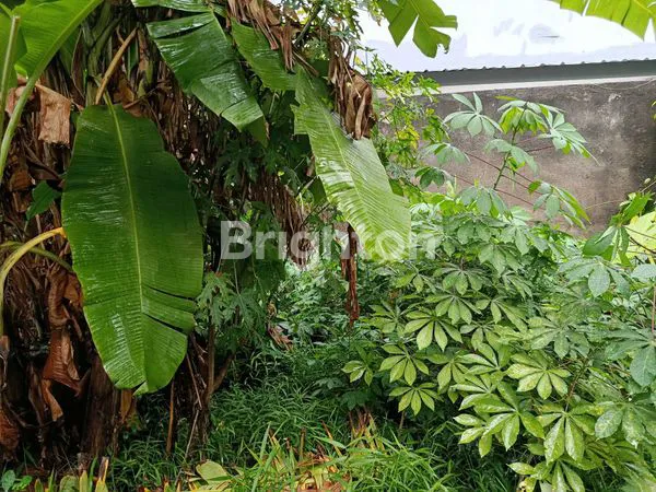 image DIJUAL TANAH SHM COCOK UNTUK INVESTASI DI JAGAKARSA – JAKARTA SELATAN (7)