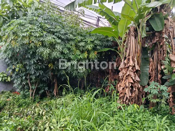 image DIJUAL TANAH SHM COCOK UNTUK INVESTASI DI JAGAKARSA – JAKARTA SELATAN (3)