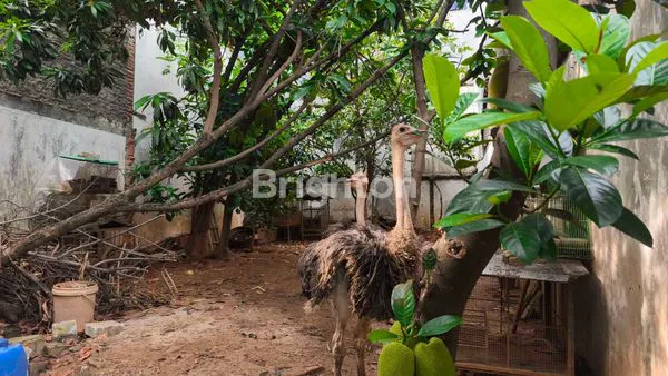 image KAVLING HUNIAN DI DURI KEPA, JAKARTA BARAT (6)