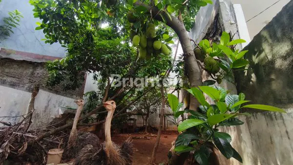 image KAVLING HUNIAN DI DURI KEPA, JAKARTA BARAT (3)