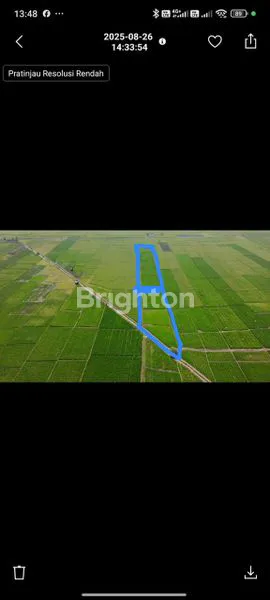 image TANAH DS GABUSWETAN INDRAMAYU (3)