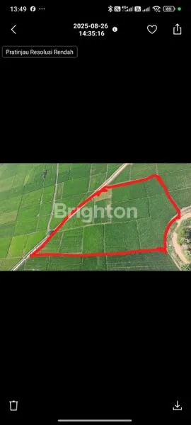 image TANAH DS GABUSWETAN INDRAMAYU (4)