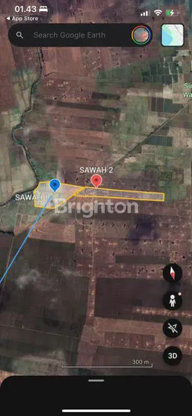 image TANAH DS GABUSWETAN INDRAMAYU (2)