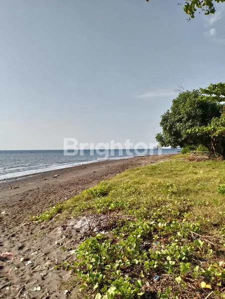 image TANAH 3 HA LOVINA BALI – VIEW GUNUNG, SAWAH & PANTAI, NEGO OWNER! (1)