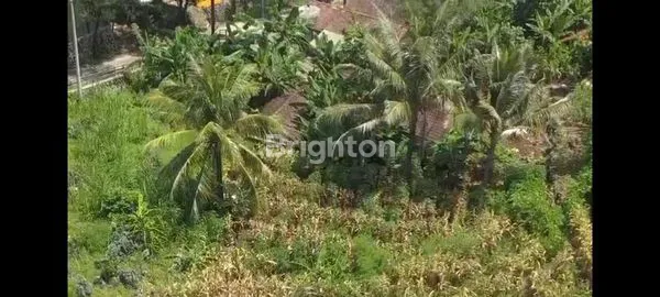 image TANAH STRATEGIS 951 M. , DI KAWASAN WISATA PANTAI “GESING WONDERLAND” GUNUNG KIDUL, YOGYAKARTA. (3)