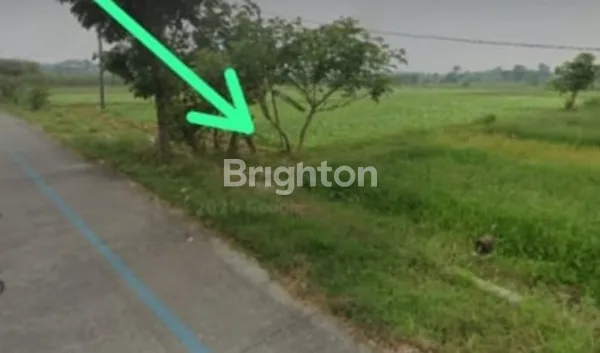 image TANAH DI JALAN PUCUK DAWAR BLANDONG MOJOKERTO (1)